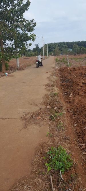 Bán đất đường xe hơi xã Bình Trung, Châu Đức, BR-VT: 13 x 72, giá 1,5 tỷ. - 3