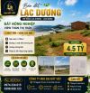 BÁN LÔ ĐẤT VIEW TOÀN CẢNH THỊ TRẤN LẠC DƯƠNG - 4.5 TỶ