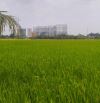 VỊ TRÍ ĐẸP 4000M² ĐẤT 45*90M²  NGAY BỆNH VIỆN NHI ĐỒNG THÀNH PHỐ