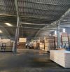 Cho thuê kho xưởng mới với diện tích 1500m2, PCCC tự động, gần cảng Đình Vũ