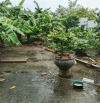 BÌNH CHÁNH GIÁP BÌNH TÂN GẦN ĐẠI HỌC PHẠM NGỌC THẠCH 1069M2 GIÁ 15,9 TỶ