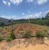 🔥 Bán nhanh 1.000m² (20x50) 1 tỷ 350, đường ô tô cách nhựa 180m, Tân Hội – Đức Trọng