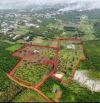 🔥🔥lô đất đẹp 26000m2 tại phường Lộc Phát, Bảo Lộc, Lâm Đồng  sau khi xác nhập về phường