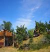 Nc🔥🔥 KINH DOANH 8 homestay xinh đẹp sân vườn