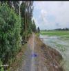 🌻 Bán đất lúa: 9.631,2m² (28,5m x 337m ) 🌻 Đường nội đồng, xã Bình Hàng Trung, Đồng Tháp