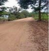 BÁN ĐẤT 2MT, LONG HOÀ, DẦU TIẾNG, DT: 50x61, TC300M2, SHR, GIÁ 3 TỶ