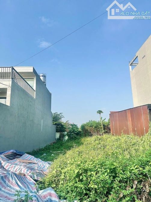 Bán đất Mt sông vàm Thuật DT193m²(5,5*30) đường THẠNH LỘC 43 phường An Phú Đông Quận 12,