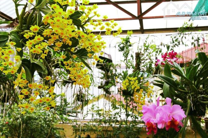 💥 BÁN NHÀ KIỆT OTO gần CHỢ HOÀ MỸ & BẾN XE – 60M2 x 2 TẦNG - CHỈ HƠN 3 TỶ - 3