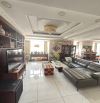 Cần bán gấp Penthouse chung cư Skygaden 3,  Tân phong quận 7 tphcm, dt sàn . 135,68m2