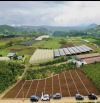 HÀNG TUYỂN 3 NỀN LIỀN KỀ- THÔNG SỐ ĐẸP- NHỈN 500Triệu/1Nền- TÂN HỘI- ĐỨC TRỌNG- LÂM ĐỒNG