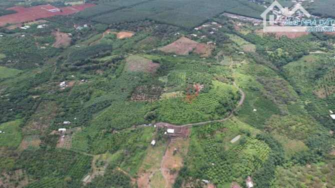 🏕️ BÁN TRỌN QUẢ ĐỒI 6 HA – MẶT TIỀN ĐƯỜNG BAO QUANH GẦN 1 KM TẠI L