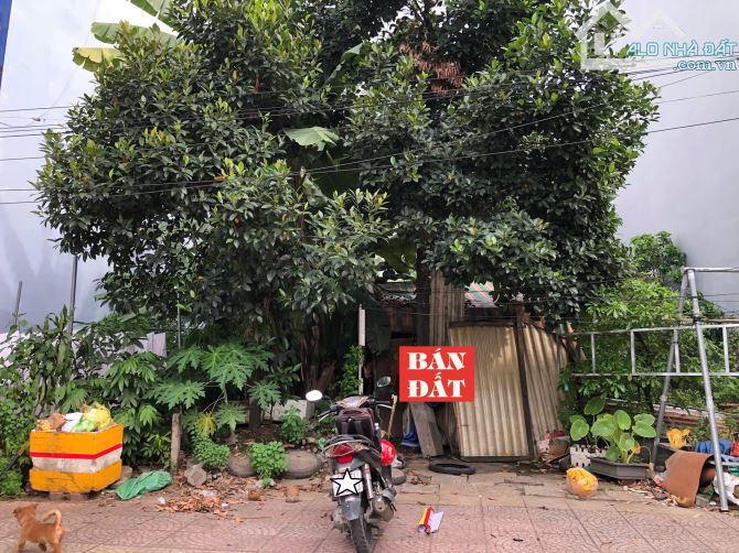 ĐẤT SIÊU ĐẸP 99M2(4.5x22M)- MẶT TIỀN ĐƯỜNG ĐỒNG VĂN CỐNG- P.THẠNH MỸ LỢI- QUẬN 2- 17 TỶ - 3
