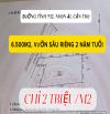 BÁN VƯỜN SẦU RIÊNG 6.500M² MT TỈNH LỘ 932 – NHƠN ÁI, CẦN THƠ – 2TR/M² = 13 TỶ
