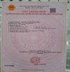 bán đất mặt tiền nhựa xã bình lợi bình chánh cũ ngang 24m bề ngang