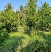 bán đất long hưng, tiền giang, đồng tháp. 9,10m x 27m= 248m, đường ôtô, sổ hồng, 720 triệu