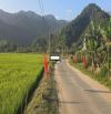 Đất vườn Hòa Bắc view đẹp 📌📌📌LÀM VIỆC TRỰC TIẾP GIÁ TỐT !!!