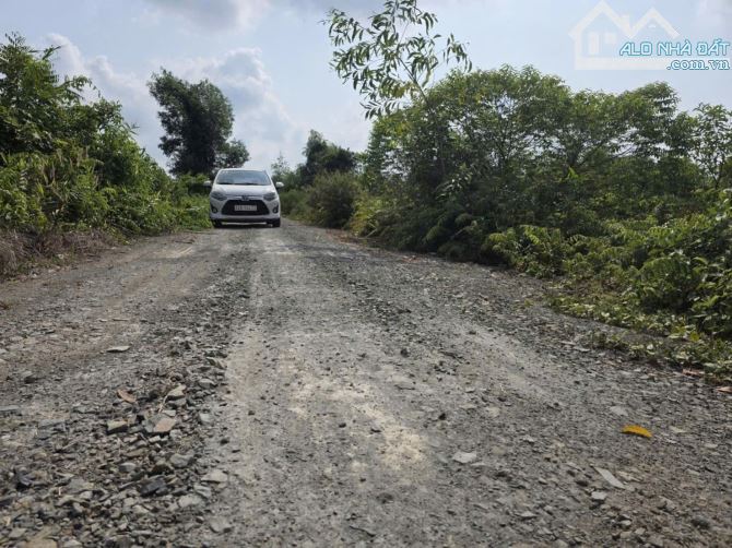 Đất vườn views kênh  cách TP.HCM 25km - 1