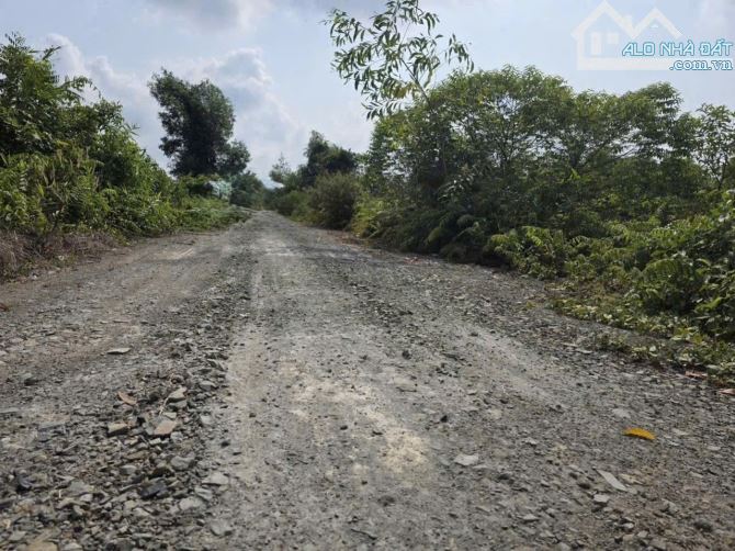 Đất vườn views kênh  cách TP.HCM 25km - 2
