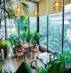MẶT PHỐ HOÀNG CẦU ĐỐNG ĐA VỊ TRÍ VIP KD VÔ ĐỊCH KO QUY HOẠCH SỔ ĐẸP 238m2 MT 8.2m