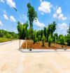 Săn Đất Biển Giá Rẻ Tại Cửa Tùng – Chỉ Từ 3xx Triệu