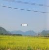 BÁN ĐẤT VIEW CÁNH ĐỒNG HÒA BẮC 📌📌📌LÀM VIỆC TRỰC TIẾP GIÁ TỐT !!!