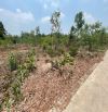 Chính chủ bán đất Tân Thành 30 full thổ cư, Bắc Tân Uyên – 359.9m², giá 3 tỷ 015 triệu