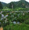 BÁN ĐẤT NGHỈ DƯỠNG VIEW ĐẸP  : 715m², có 200m² thổ cư