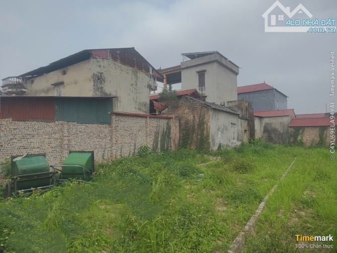 🏡 ĐƯỜNG THÔNG - Ô TÔ 7 CHỖ VÀO ĐẤT -GẦN Ô TÔ TRÁNH - 2