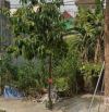 CẦN BÁN LÔ ĐẤT 80M CÁCH HỒ KỲ LÂN CHỈ 2 PHÚT ĐI BỘ.