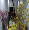 🏡 NHÀ CẤP 4 GÁC ĐÚC – KHU NAM VIỆT Á – GIÁ CHỈ 3.x TỶ