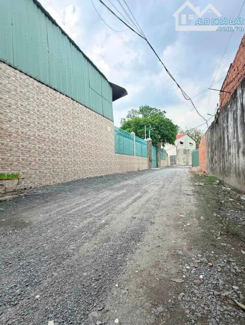 Nhà cấp 4 SHR mặt tiền Tam Đông 24-Thới Tam Thôn-Hóc Môn.Dt 25x45~917m2~19,5ty - 4