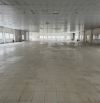 Cho thuê kho 1700m2 trục Phan Huy Ích Tân Bình
