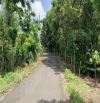 🔥 QUỸ ĐẤT KHỦNG 32HA TÂN TIẾN – QUY HOẠCH CÂY LÂU NĂM, CÁCH CHỢ & TRUNG TÂM XÃ CHỈ 3KM 🔥