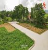 Bán đất phố 37, Tự Lạn, Bắc Ninh, 2,3 tỷ, 438 m2, MT 20m, Đường 10m, có thương lượng