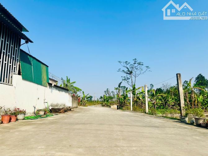 ĐẤT NGHI LIÊN - 87,6M2, ĐƯỜNG RỘNG 6m - 2