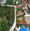 ĐẤT RỘNG NGHỈ DƯỠNG VIEW THÔNG 1390M2 PHƯỜNG CAM LY ĐÀ LẠT