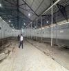 CHO THUÊ KHO 1.123m² TẠI 89 LẠC LONG QUÂN, TÂY HỒ, HÀ NỘI