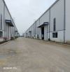 Cho thuê kho xưởng Cty  DCN VN Lô 3 KCN Khánh Phú, TP Ninh Bình dt 3000m2, 7000m2, 13000m2