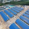 Bán 10 hata trang trại heo  , Tỉnh Tây Ninh Gía Tốt  , Đang cho thuê 700tr/th