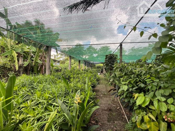 Bán Gấp Đất Lô Góc MT Nguyễn Duy Trinh- Long Trường Q9- 5864m2 Ful TC -Chỉ 598 Tỷ - 4