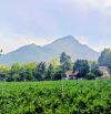 Bán đất Ba Trại, Ba Vì, gần TL414, K9, sân golf Suối Hai, 889m, view đồng, tựa núi, 3.45tỷ