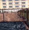 Đất VUÔNG 8x25m Thổ Cư 200m2 Giá 4.5 Tỷ TL- Nhị Bình - HM