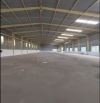 Cho thuê kho xưởng đẹp 1530m2 có PCCC tự động nghiệm thu ở TP Thuận An Bình Dương HCM