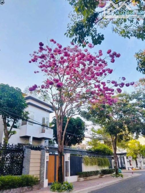 LÔ ĐẤT BIỆT THỰ CỰC ĐẸP ĐƯỜNG NGUYỄN THỊ MINH KHAI, FULL THỔ CƯ, GẦN BÃI SAU VŨNG TÀU - 2