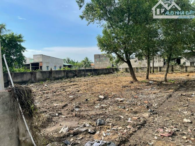 ĐẤT MẶT TIỀN TRẦN VĂN GIÀU – QUỸ ĐẤT LỚN HIẾM CÒN SÓT LẠI TẠI BÌNH CHÁNH - 3