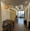 Cho thuê căn hộ chung cư T&T 120 Định Công 90m2 3PN full đồ 16tr