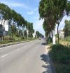 🏡 BÁN ĐẤT MẶT TIỀN VÕ CHÍ CÔNG – HÒA QUÝ – NGŨ HÀNH SƠN 8 TỶ