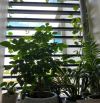 CHO THUÊ CĂN HỘ 100M² TẠI GARDEN CITY -THẠCH BÀN-FULL NỘI THẤT, Ở NGAY
