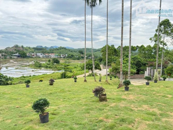 CẦN BÁN LÔ ĐẤT NGHỈ DƯỠNG 1961M VIEW CÁNH ĐỒNG - 1