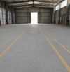 Cho thuê kho Nguyễn Văn Quỳ – 550m2 – PCCC tự động – container 24/7